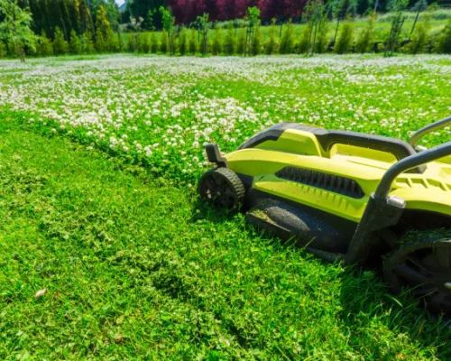 Lawn Care